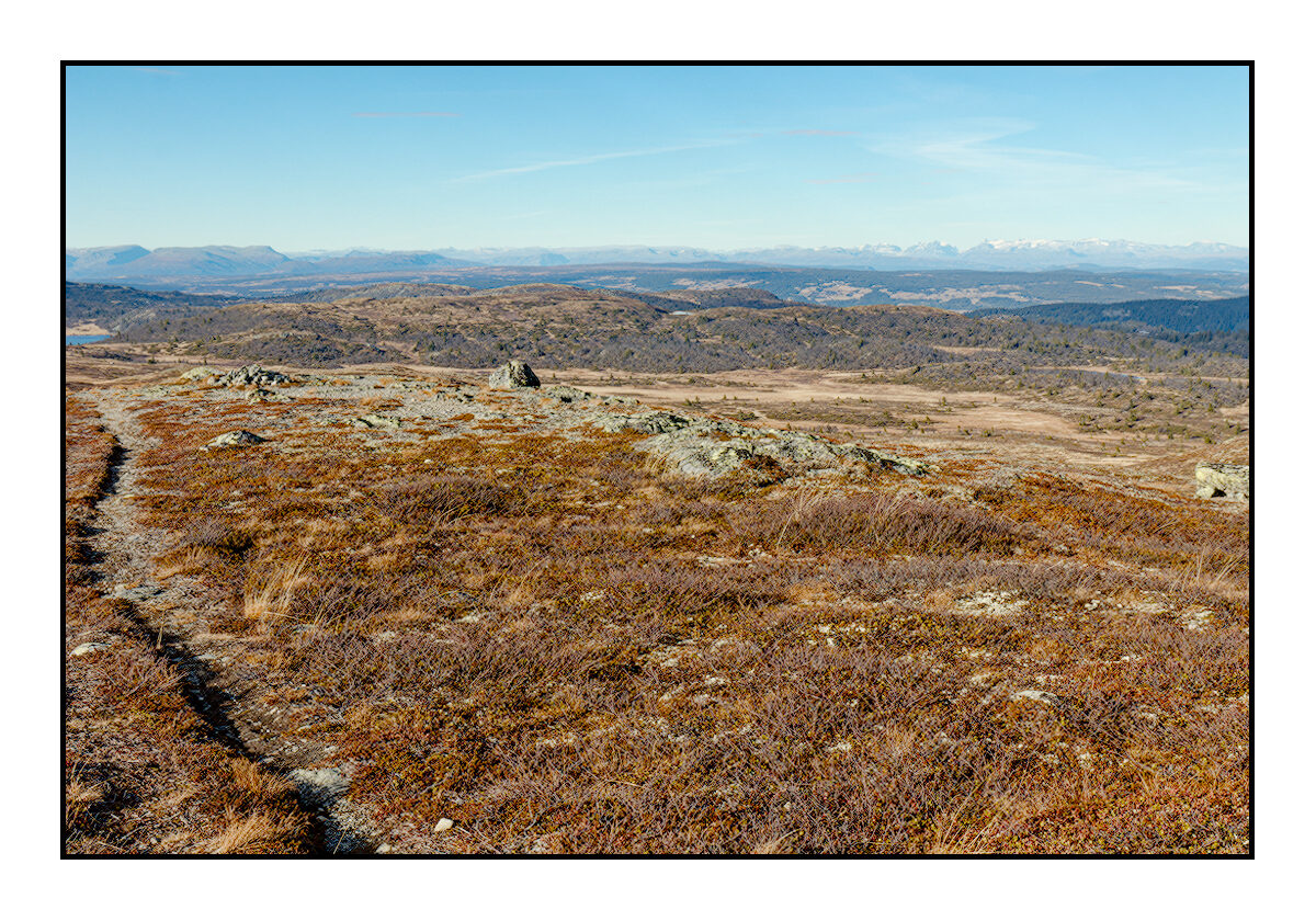 Bjødalsfjellet_2025