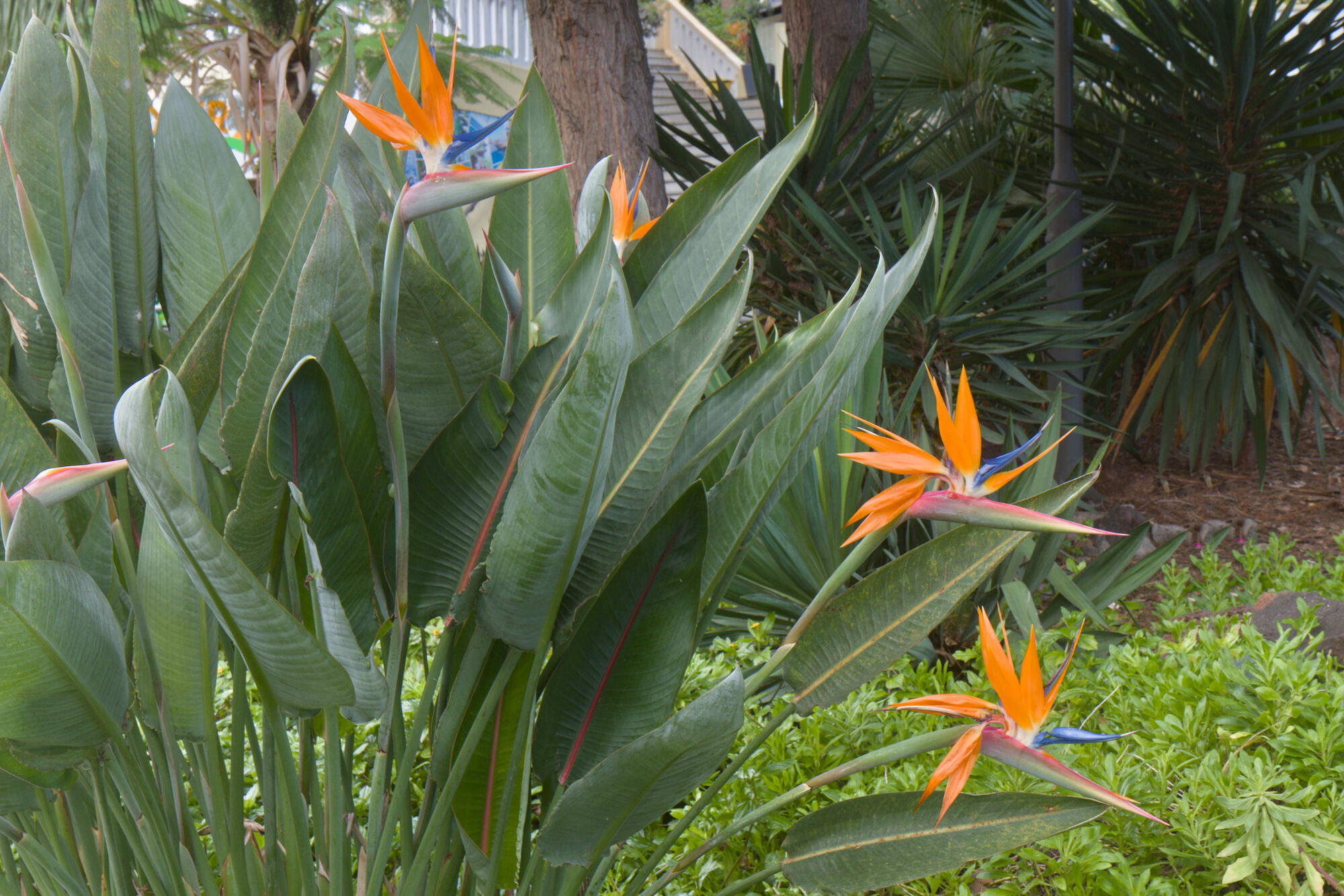 Madeira_2022