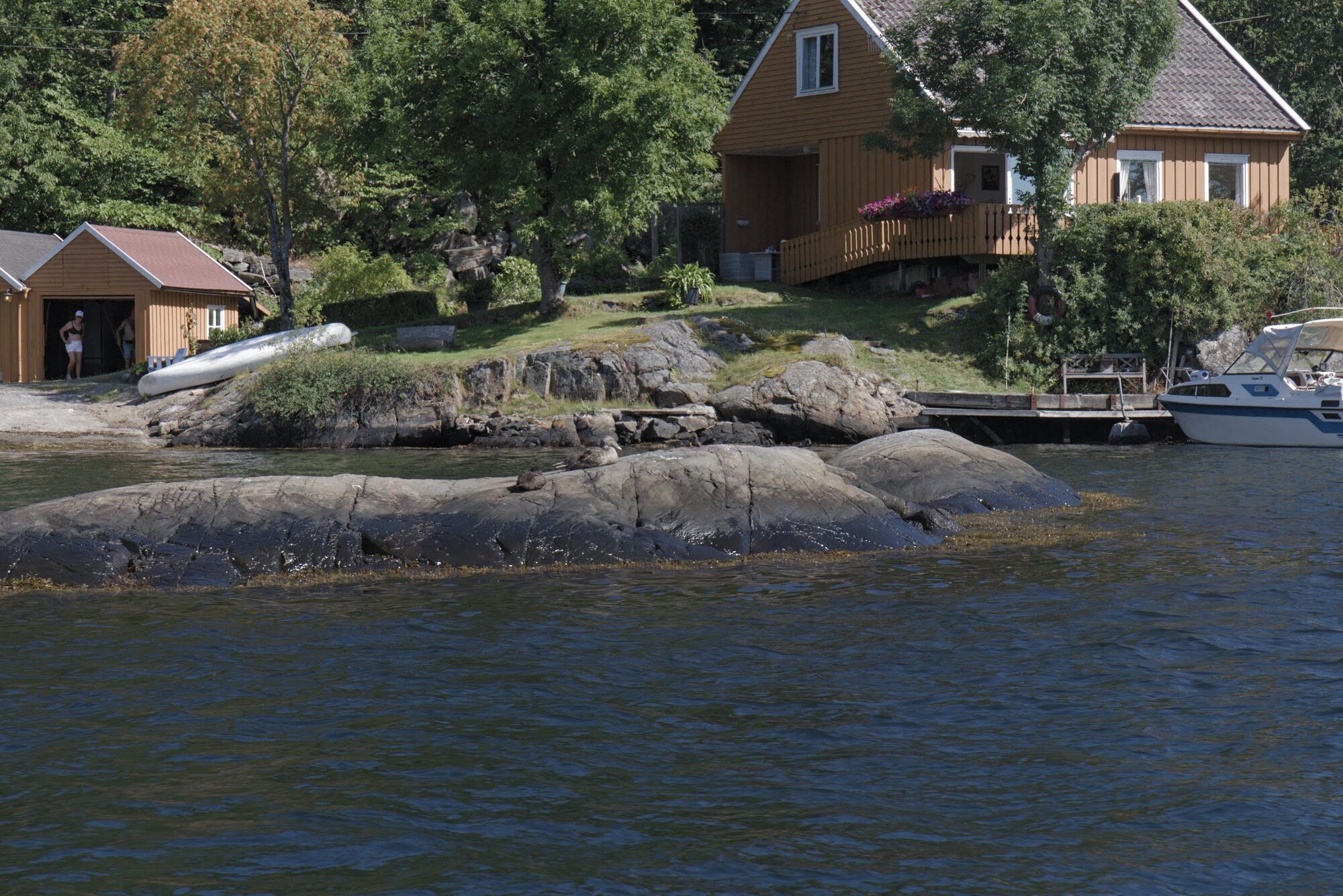 Sørlandet_2019