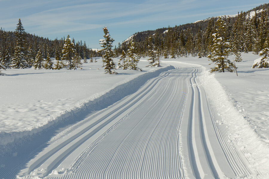 Vinter_i_ Bjødalen