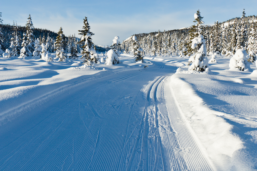 Bjødalen